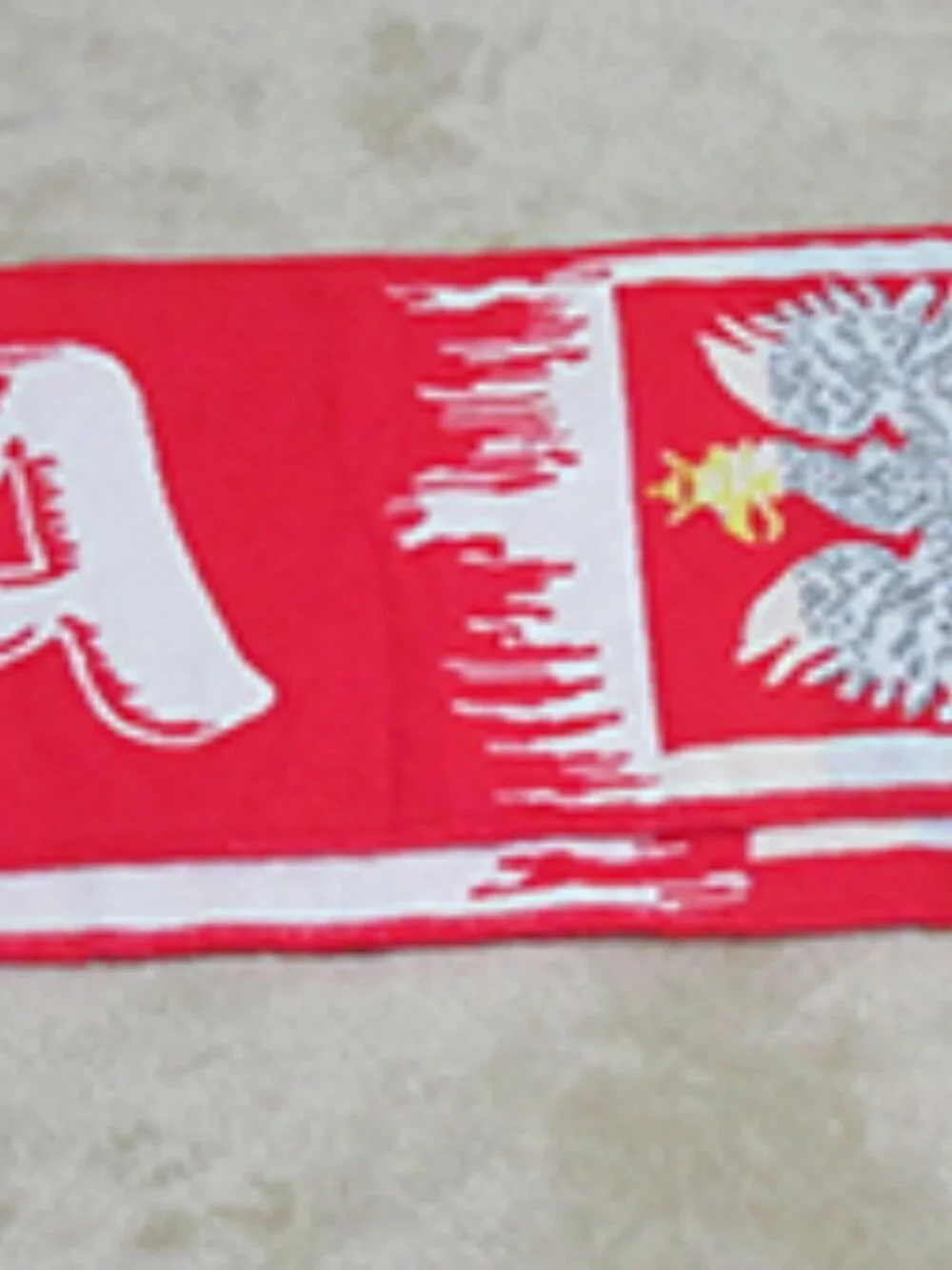 Poland Thick Doubled Sided Winter Scarf 55